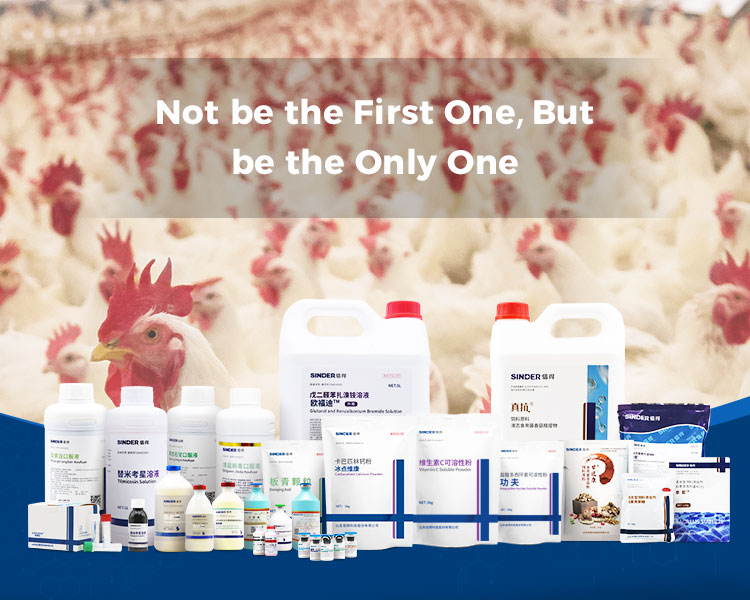 What vaccinations do chickens need? What vaccinations do chickens need?