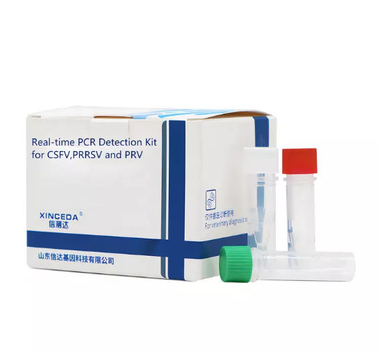 Real-time PCR Detection Kit.png