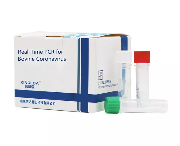 Newcastle Disease Virus (NDV) Detection with PCR