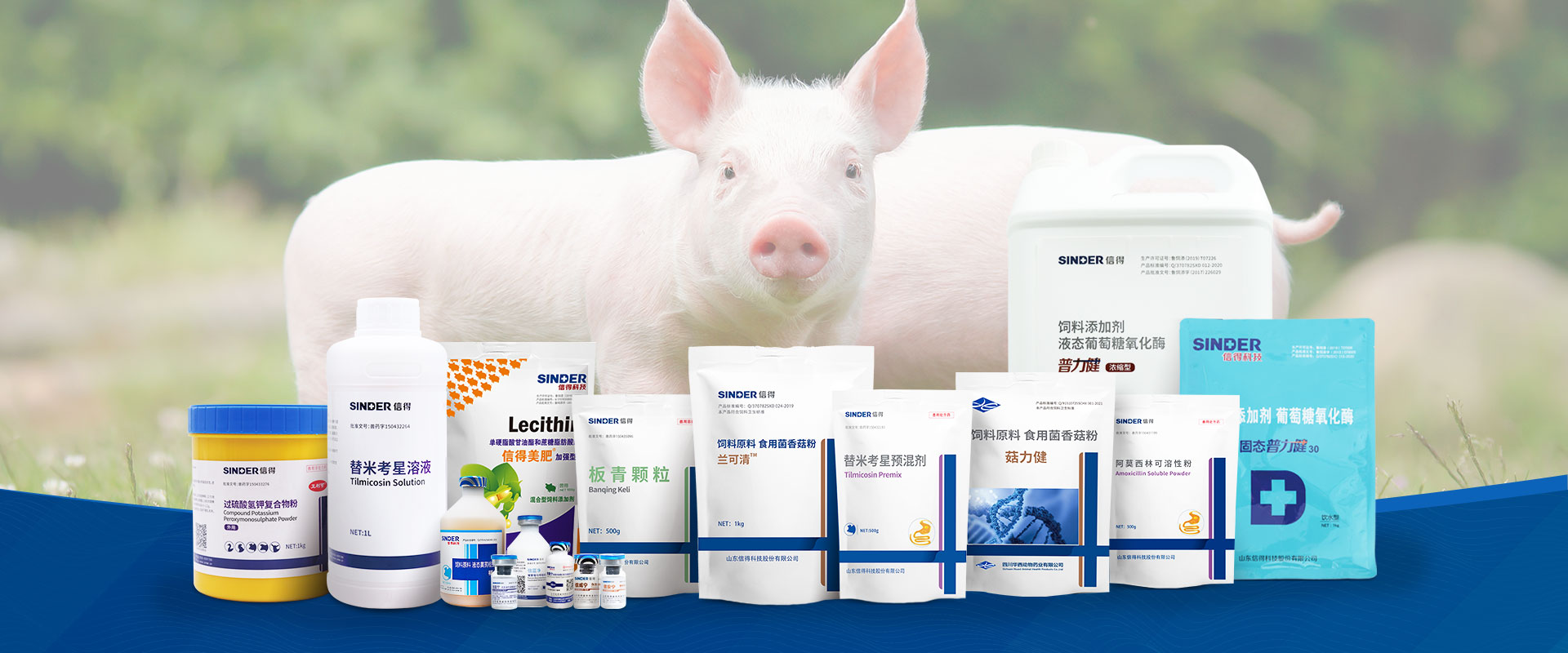 Swine Vaccines and Disease Prevention Solutions