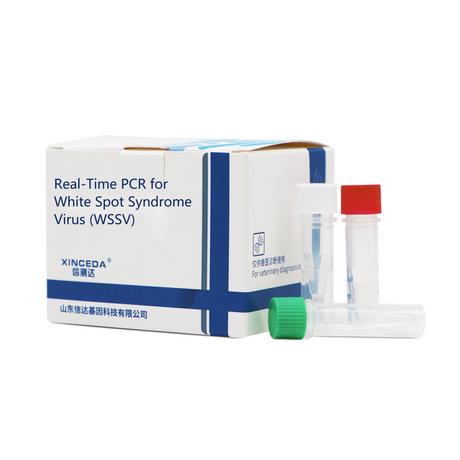 WSSV PCR