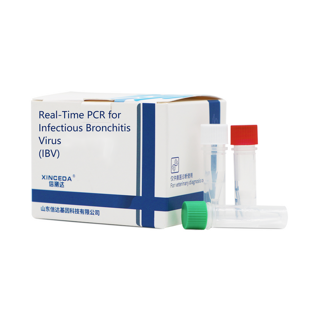 NDV Virulent&Universal PCR