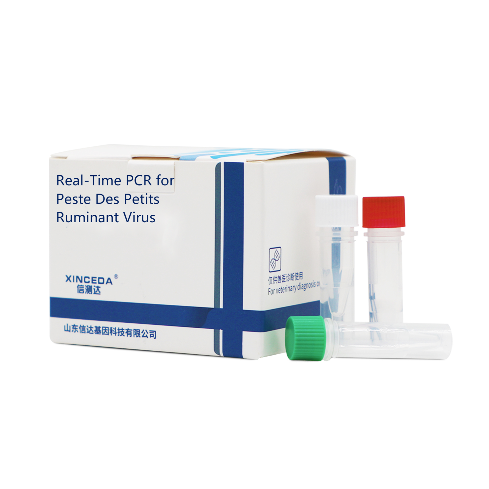 PPRV PCR