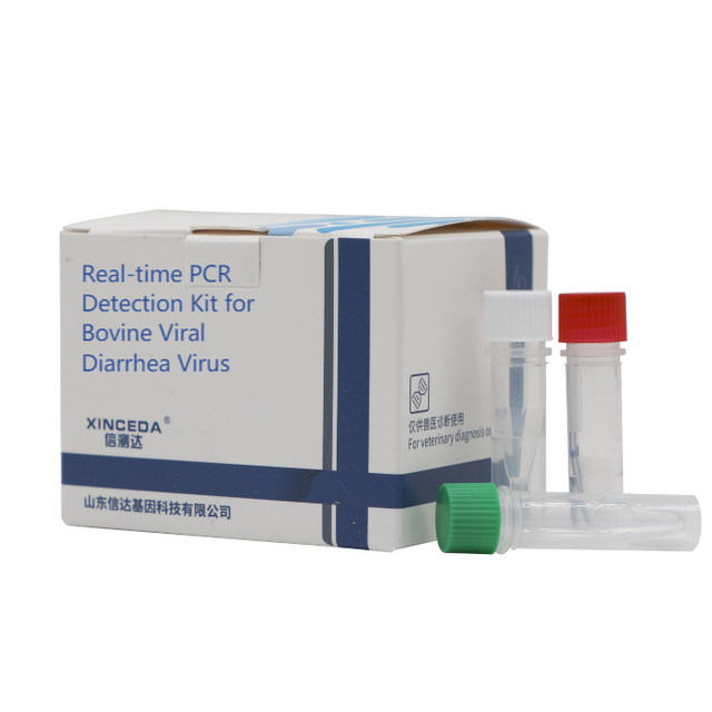 BVDV PCR