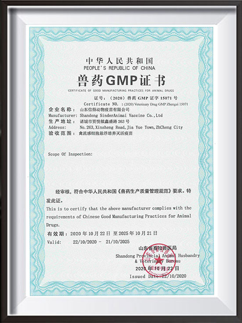 GMP-SINDER Animal Vaccine