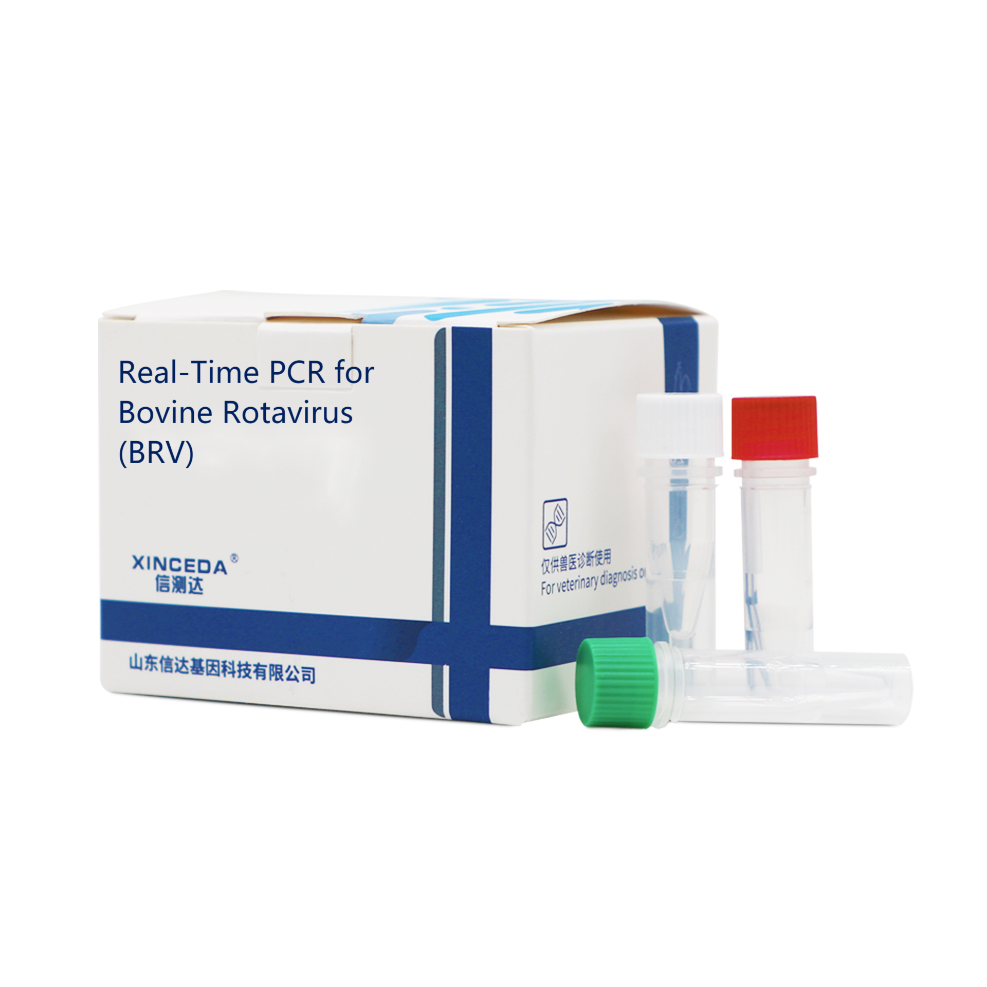 BRV PCR
